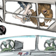 Image for article titled Pixar Animator Is Back With More NFL Sketches